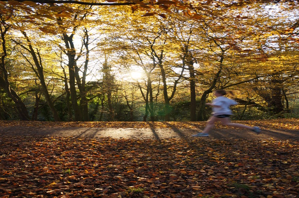 3_parque_hampstead_heath_londres_inglaterrajpg