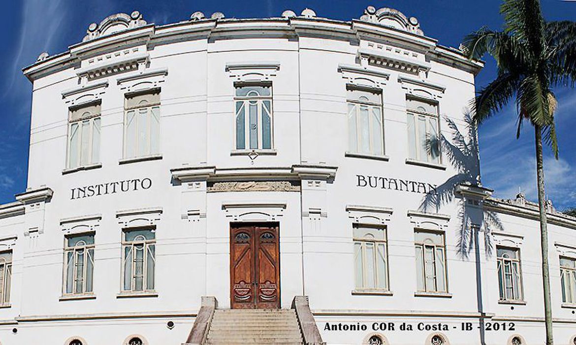 Instituto Butantan (Divulgação)