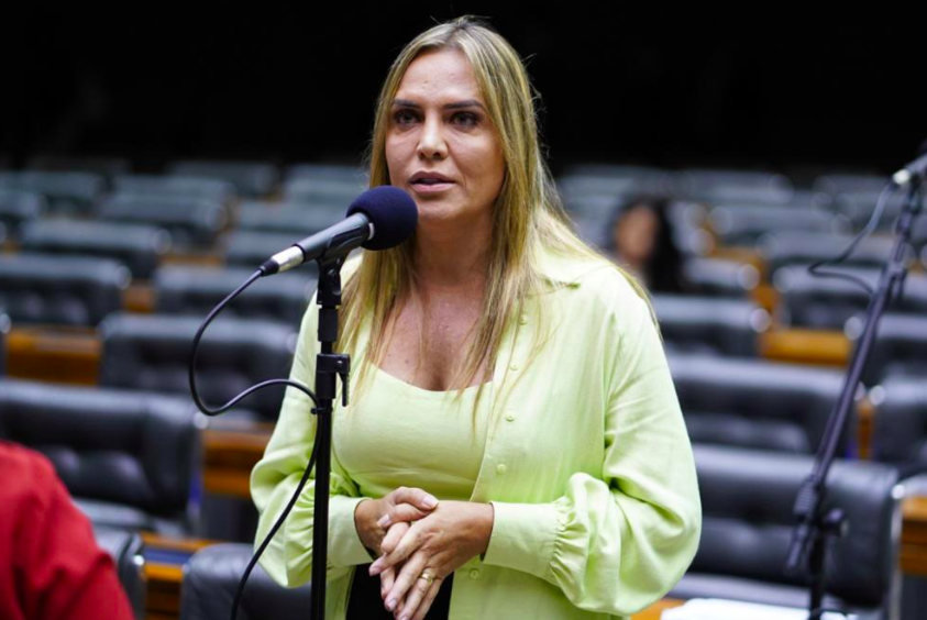 Celina Leão (Foto: Pablo Valadares/Câmara dos Deputados/Agência Câmara)