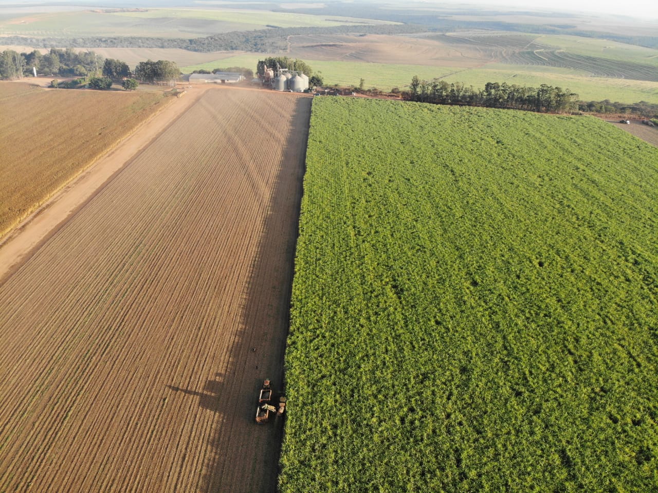 Fazenda Araucária (Divulgação)