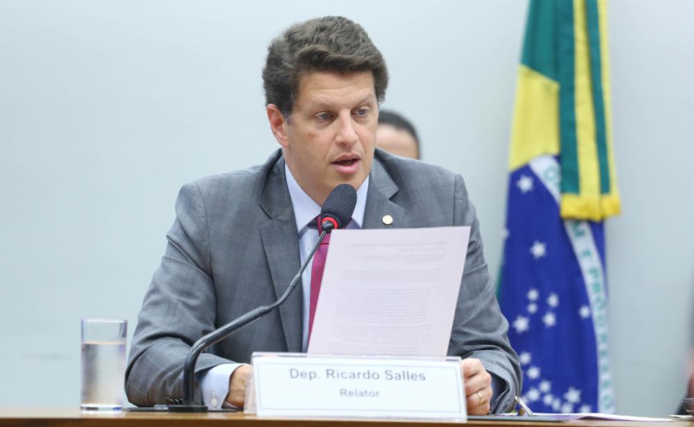 Discussão e votação do Relatório do Relator, deputado Ricardo Salles (PL-SP)